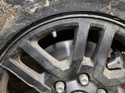 2025�� ��׼��