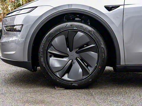 2025�� ������ȫ��������