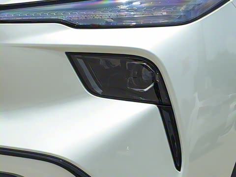 2025�� 565km ������