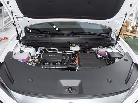 2025�� �ڶ��� �Ǽݰ� DM-i 75KM��Խ��