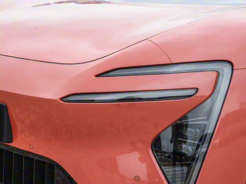 2025�� Max�����