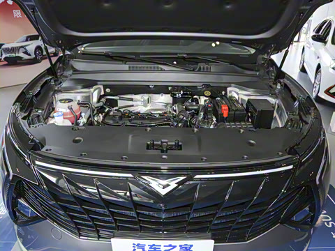 2025�� 1.5T ɽ��� 7��