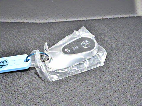 2025�� CLE 300 4MATIC �����ͽ��ܳ�