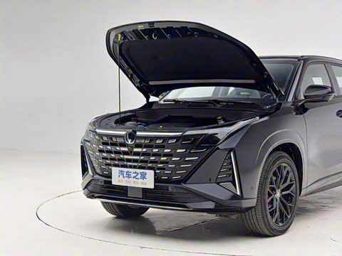 2025�� �ǻ������� 125km ������