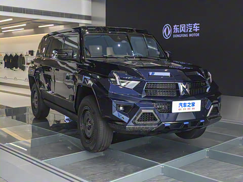 2025�� M900 ������