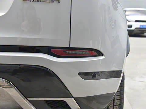 2021�� ����L P300e ������