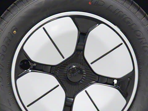 2025�� 310km �ഺ��