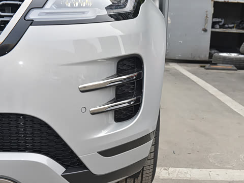 2021�� ����L P300e ������