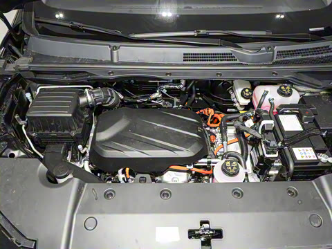 2025�� �콢��