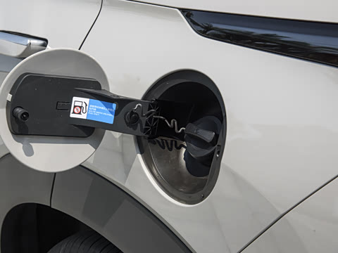 2025�� 135 �����ܼ����״��