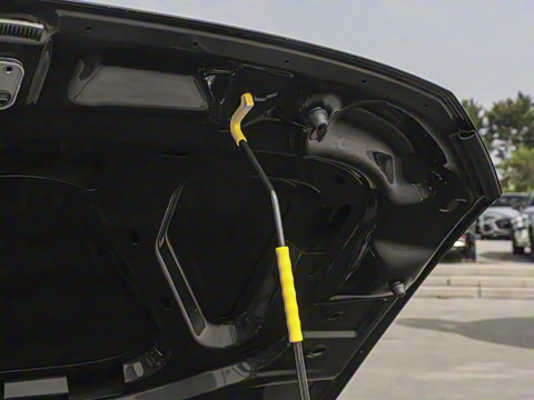 2025�� �Ŀ� 200TSI DSG���е�����