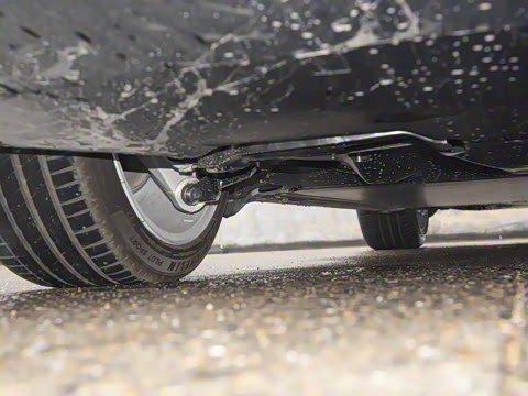 2025�� ����������