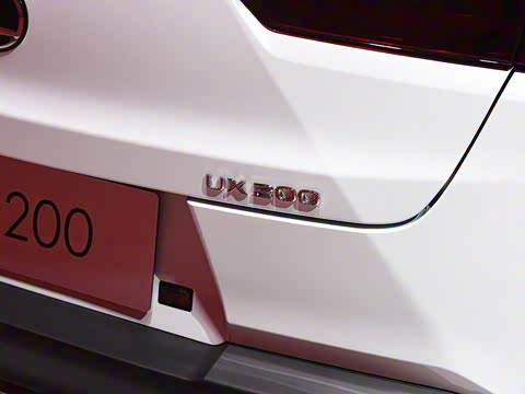 2019�� 200 F SPORT��