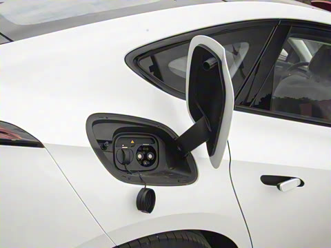 2025�� 550��ѡ��