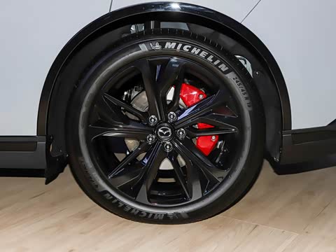 2025�� ����600�����˶���