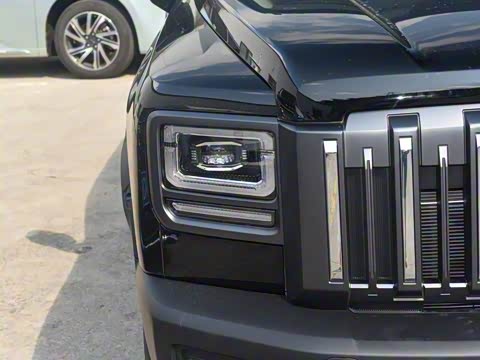 2025�� 2.0T 4WD Pro