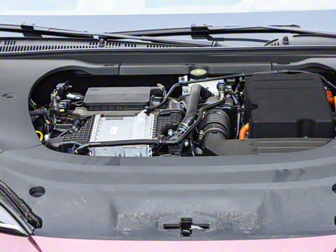 2025�� �Ǽݰ� DM-i 1.5T 125km �콢��