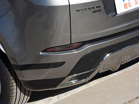 2021�� ����L P300e ������