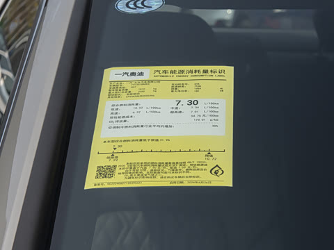 2025�� �Ŀ� 45 TFSI ��ѡ������