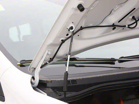 2024�� �Ŀ� ������