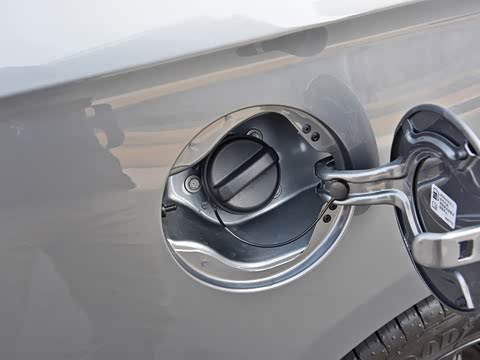 2019�� Redline 320T ˫���ˬ��� ��VI