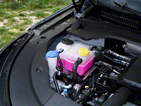 2025�� 120 ���������콢PLUS 7�� �������