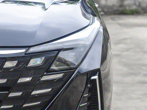 2025�� �ǻ������� 125km ������