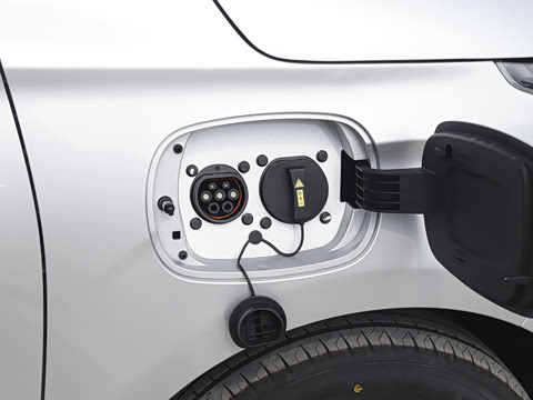 2025�� 305km ������