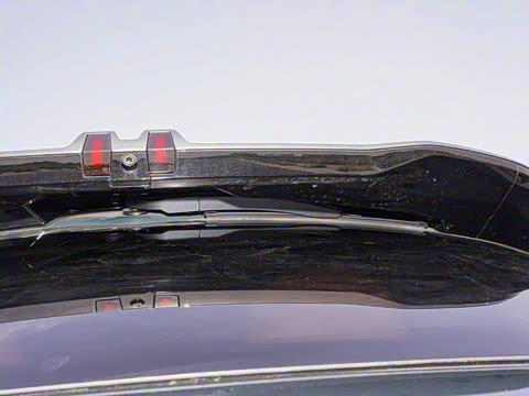 2025�� DM 175KM���˻���Ұ�