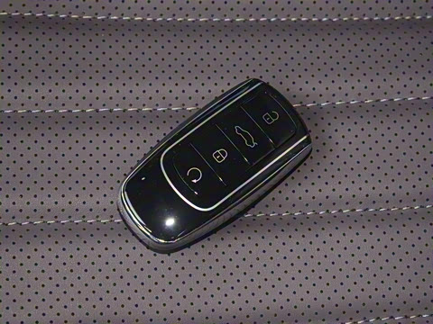 2025�� 1.5T 106KM������ 7�� �������