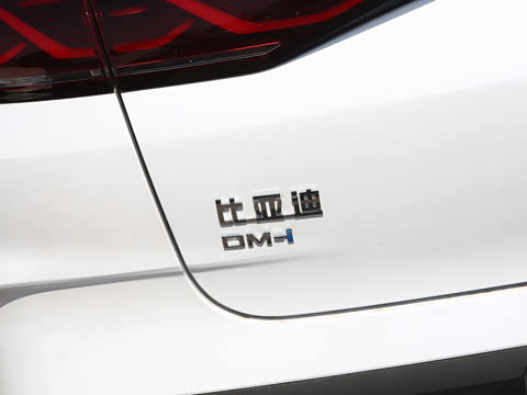 2025�� DM-i �Ǽݰ� 120KM�캽��