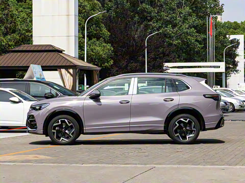 2025�� PRO 380TSI ���� R-Line �����