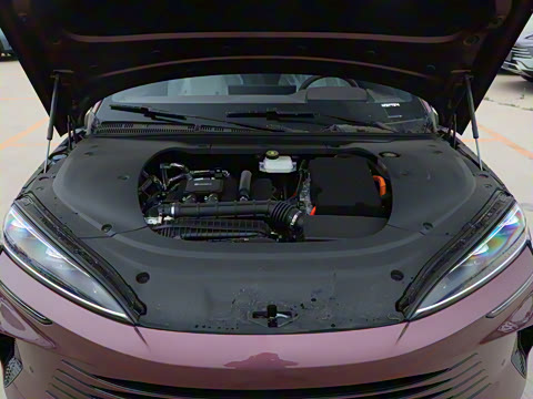 2025�� �Ǽݰ� DM-i 1.5L 125km �����