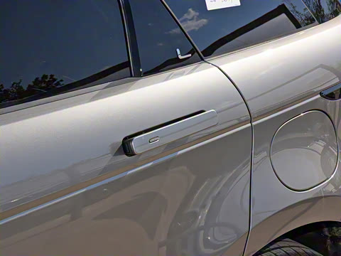 2021�� ����L P300e ������