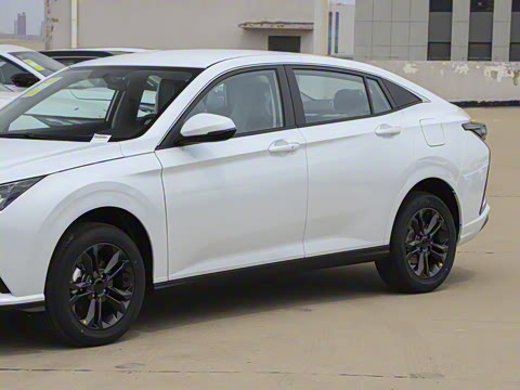 2025�� 1.5L �Զ�������