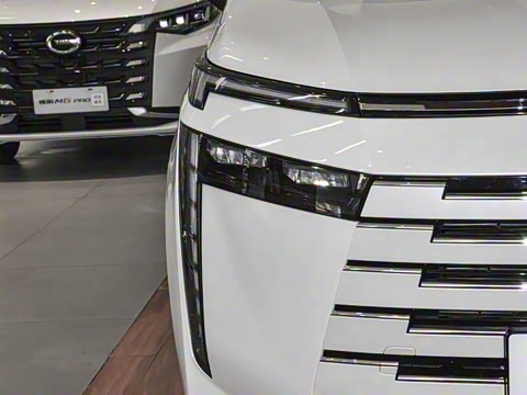 2024�� ��ҫϵ�� 2.0L ���ڰ�