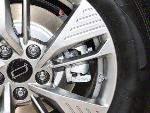 2025�� 565km ������