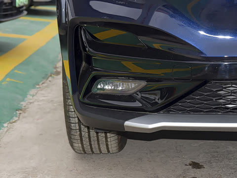 2021�� 520 ������