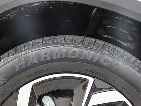 2025�� 205��������������