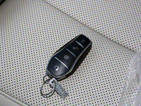 2025�� EV 545KM��Խ��