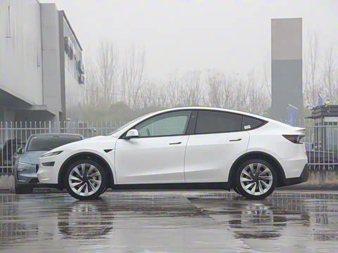 2025�� ������ȫ��������