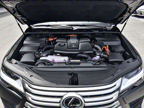 2025�� 700h VIP������