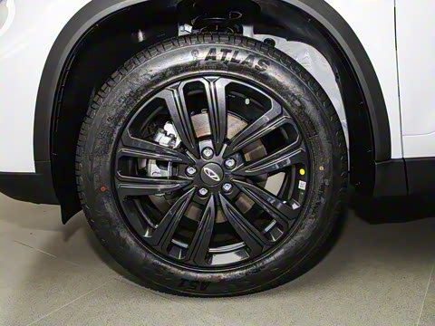 2024�� 230TCI �Զ��³��� 5��