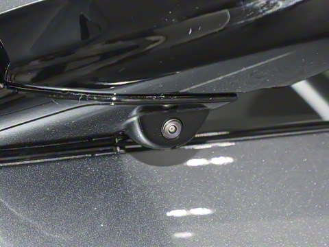 2025�� 725 �������� Max �콢��