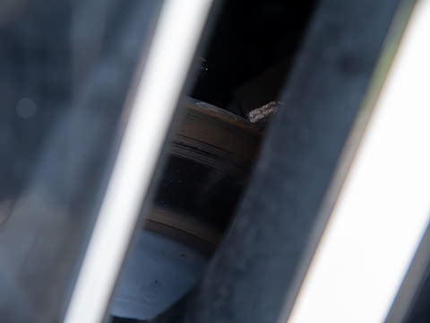 2025�� 502 ������ Max