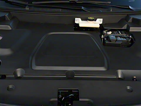 2025�� 502 ������ Max