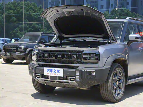 2025�� 2.0TD DCT XWD��Խ