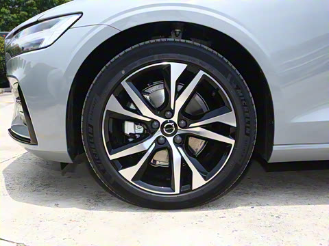 2026�� B4 ��Զ�˶���