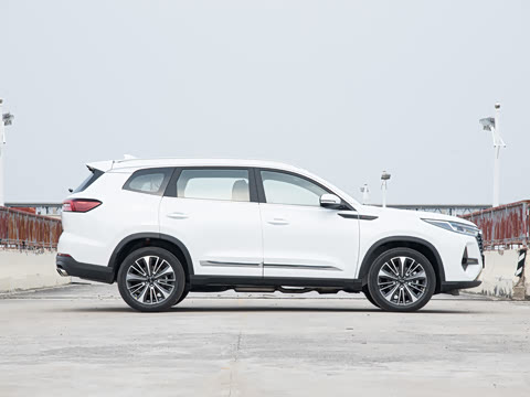 2025�� 390T ���������