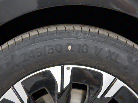 2024�� V 300 �캽��